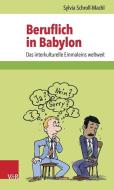 Beruflich in Babylon di Sylvia Schroll-Machl edito da Vandenhoeck + Ruprecht