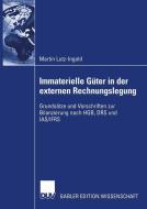 Immaterielle Güter in der externen Rechnungslegung di Martin Lutz-Ingold edito da Deutscher Universitätsvlg