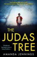 The Judas Scar di Amanda Jennings edito da HarperCollins Publishers