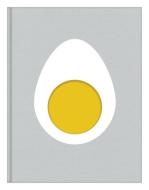 Egg di Blanche Vaughan edito da Orion Publishing Co