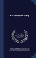 Cattaraugus County di County Archaeologist Clwyd North Wales John Manley edito da Sagwan Press
