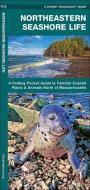 Northeastern Seashore Life: A Folding Pocket Guide to Familiar Coastal Species North of Massachusetts di James Kavanagh, Waterford Press edito da WATERFORD PR
