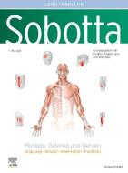 Sobotta Lerntabellen Anatomie Muskeln, Gelenke und Nerven di Friedrich Paulsen, Jens Waschke edito da Urban & Fischer/Elsevier