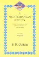 A Mediterranean Society, Volume Iv di S. D. Goitein edito da University Of California Press