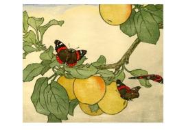 John Dickson Batten: Apples and Red Admirals Boxed Small Notecards edito da Pomegranate Communications
