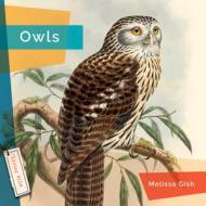 Owls di Melissa Gish edito da CREATIVE ED & PAPERBACKS