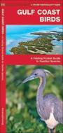 Gulf Coast Birds: An Introduction to Familiar Species di James Kavanagh edito da Waterford Press