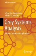 Grey Systems Analysis di Sifeng Liu, Yingjie Yang, Jeffrey Yi-Lin Forrest edito da SPRINGER NATURE