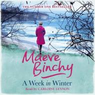 A Week In Winter di Maeve Binchy edito da Orion Publishing Co