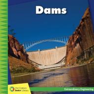 Dams di Virginia Loh-Hagan edito da CHERRY LAKE PUB
