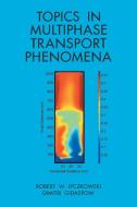 Topics In Multiphase Transport Phenomena di ROBERT W LYCZKOWSKI edito da Lightning Source Uk Ltd