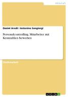 Personalcontrolling. Mitarbeiter mit Kennzahlen bewerten di Daniel Arndt, Antonino Sangiorgi edito da GRIN Verlag
