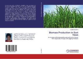 Biomass Production in East Texas di Rubaba Ismayilova edito da LAP Lambert Academic Publishing