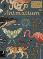 Animalium di Jenny Broom edito da Templar Publishing