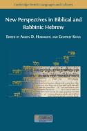 NEW PERSPECTIVES IN BIBLICAL AND RABBINI di AARON HORNKOHL edito da LIGHTNING SOURCE UK LTD