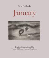 January di Sara Gallardo edito da ARCHIPELAGO BOOKS