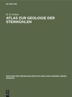 Atlas zur Geologie der Steinkohlen di H. B. Geinitz edito da De Gruyter