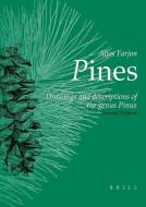 Pines, 2nd Revised Edition: Drawings and Descriptions of the Genus Pinus di Aljos Farjon edito da BRILL ACADEMIC PUB