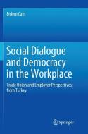 Social Dialogue and Democracy in the Workplace di Erdem Cam edito da Springer Singapore