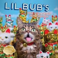 Lil Bub di Lil Bub edito da Abrams