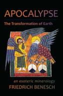 Apocalypse: The Transformation of Earth di Friedrich Benesch edito da SteinerBooks, Inc