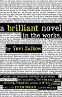 A Brilliant Novel in the Works di Yuvi Zalkow edito da M P Publishing Limited