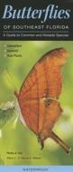 Butterflies of Southeast Florida: A Guide to Common & Notable Species di Mark C. Minno, Maria F. Minno, Marc C. Minno edito da Quick Reference Publishing, Inc.