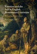 Emotion and the Self in English Renaissance Literature: Reforming Contentment di Paul Joseph Zajac edito da CAMBRIDGE