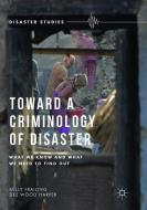 Toward a Criminology of Disaster di Kelly Frailing, Dee Wood Harper edito da Palgrave Macmillan US