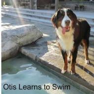 Otis Learns to Swim di Dana George Neuman edito da Createspace