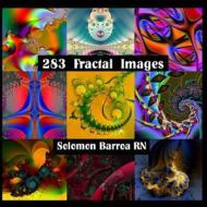 283 Fractal Images di Solomon Barroa Rn edito da Createspace