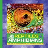 Reptiles & Amphibians di Heidi Fiedler edito da Walter Foster Jr.