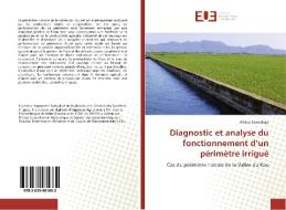 Diagnostic et analyse du fonctionnement d'un périmètre irrigué di Alidou Sawadogo edito da Editions universitaires europeennes EUE