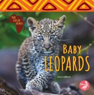 Baby Leopards di Amy Culliford edito da PELICAN PUB CO