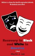 Recovery in Black and White in America: A Picture of the Comedy & Tragedy Masks And the Words A Novel di Martin J. Lee edito da DORRANCE PUB CO INC
