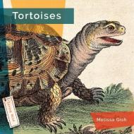 Tortoises di Melissa Gish edito da CREATIVE ED & PAPERBACKS