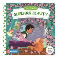 Sleeping Beauty di Dan Taylor edito da Pan Macmillan