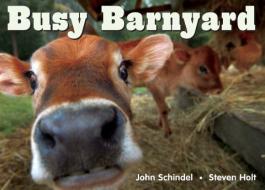 Busy Barnyard di John Schindel edito da Tricycle Press