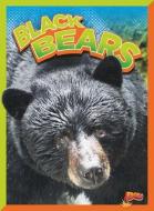 Black Bears di Gail Terp edito da BLACK RABBIT BOOKS
