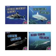 All about Sharks di Deborah Nuzzolo, Jody S. Rake edito da CAPSTONE PR