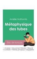 Réussir son Bac de français 2023 : Analyse de la Métaphysique des tubes de Amélie Nothomb di Amélie Nothomb edito da Bac de français