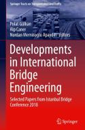 Developments in International Bridge Engineering edito da Springer International Publishing