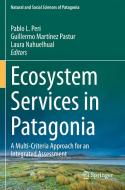 Ecosystem Services in Patagonia edito da Springer International Publishing