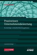 Praxiswissen Unternehmensbewertung di Marc Castedello, Stefan Schöniger edito da Idw-Verlag GmbH