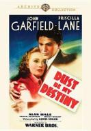 Dust Be My Destiny edito da Warner Bros. Digital Dist