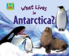 What Lives in Antarctica? di Oona Gaarder-Juntti edito da SUPER SANDCASTLE