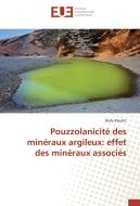 Pouzzolanicité des minéraux argileux: effet des minéraux associés di Wafa Mechti edito da Editions universitaires europeennes EUE