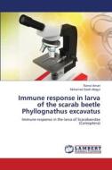 Immune response in larva of the scarab beetle Phyllognathus excavatus di Ramzi Amari, Mohamed Salah Allagui edito da LAP LAMBERT Academic Publishing
