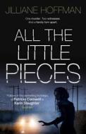 All The Little Pieces di Jilliane Hoffman edito da Harpercollins Publishers