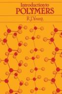Introduction To Polymers di Robert J. Young edito da Chapman And Hall
